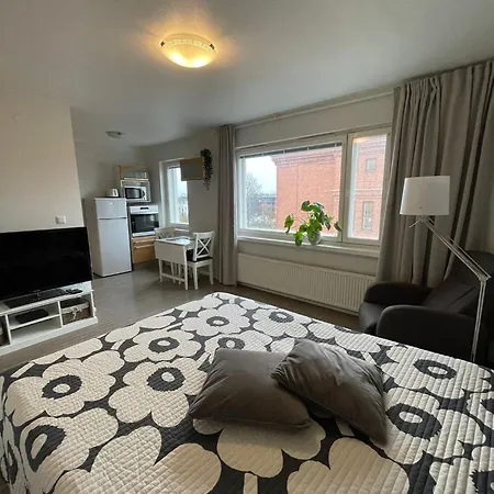 Maaherrankatu, Ilmainen Kadunvarsipysaekoeinti Апартаменты *