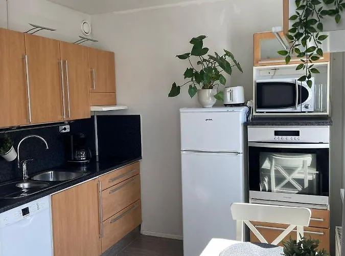 Lägenhet Maaherrankatu, Ilmainen Kadunvarsipysaekoeinti Kuopio